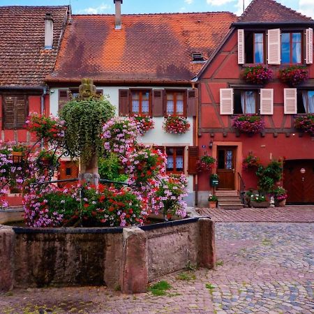 Gite Les Lavandieres Colmar Exterior foto