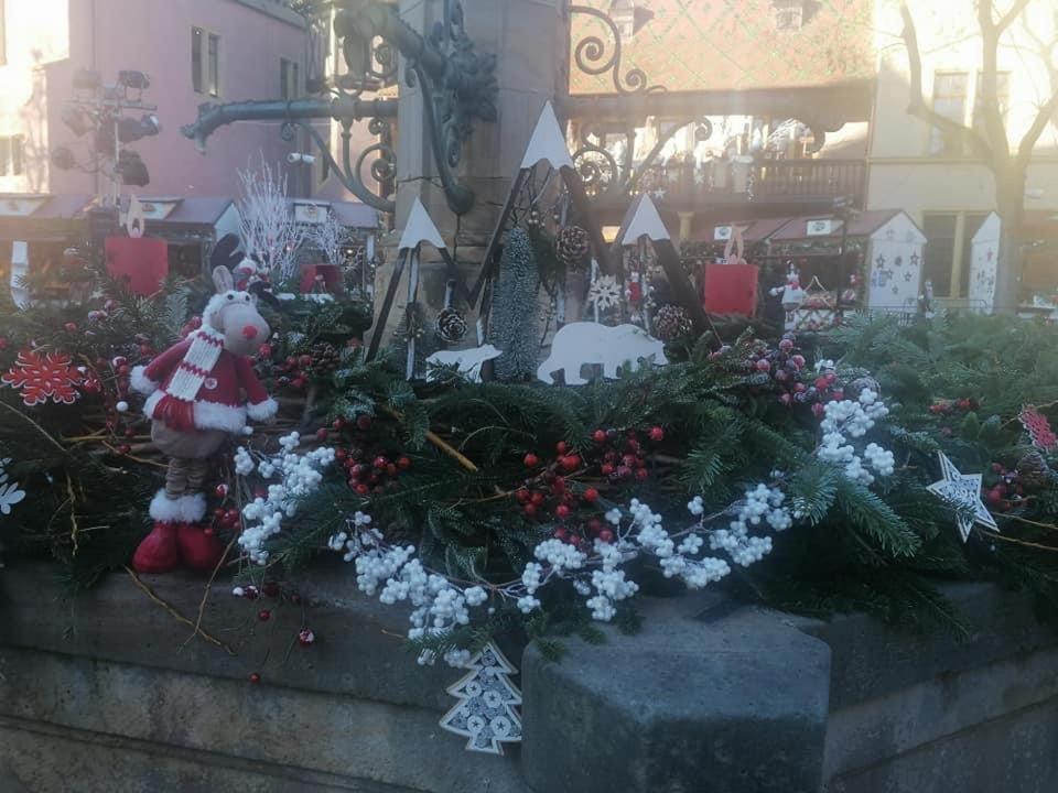 Gite Les Lavandieres Colmar Exterior foto
