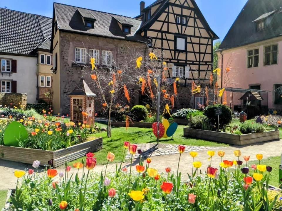 Gite Les Lavandieres Colmar Exterior foto