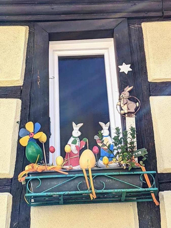 Gite Les Lavandieres Colmar Exterior foto