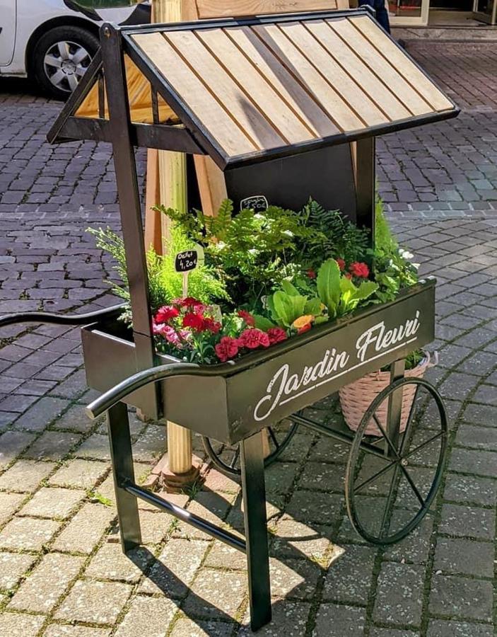 Gite Les Lavandieres Colmar Exterior foto