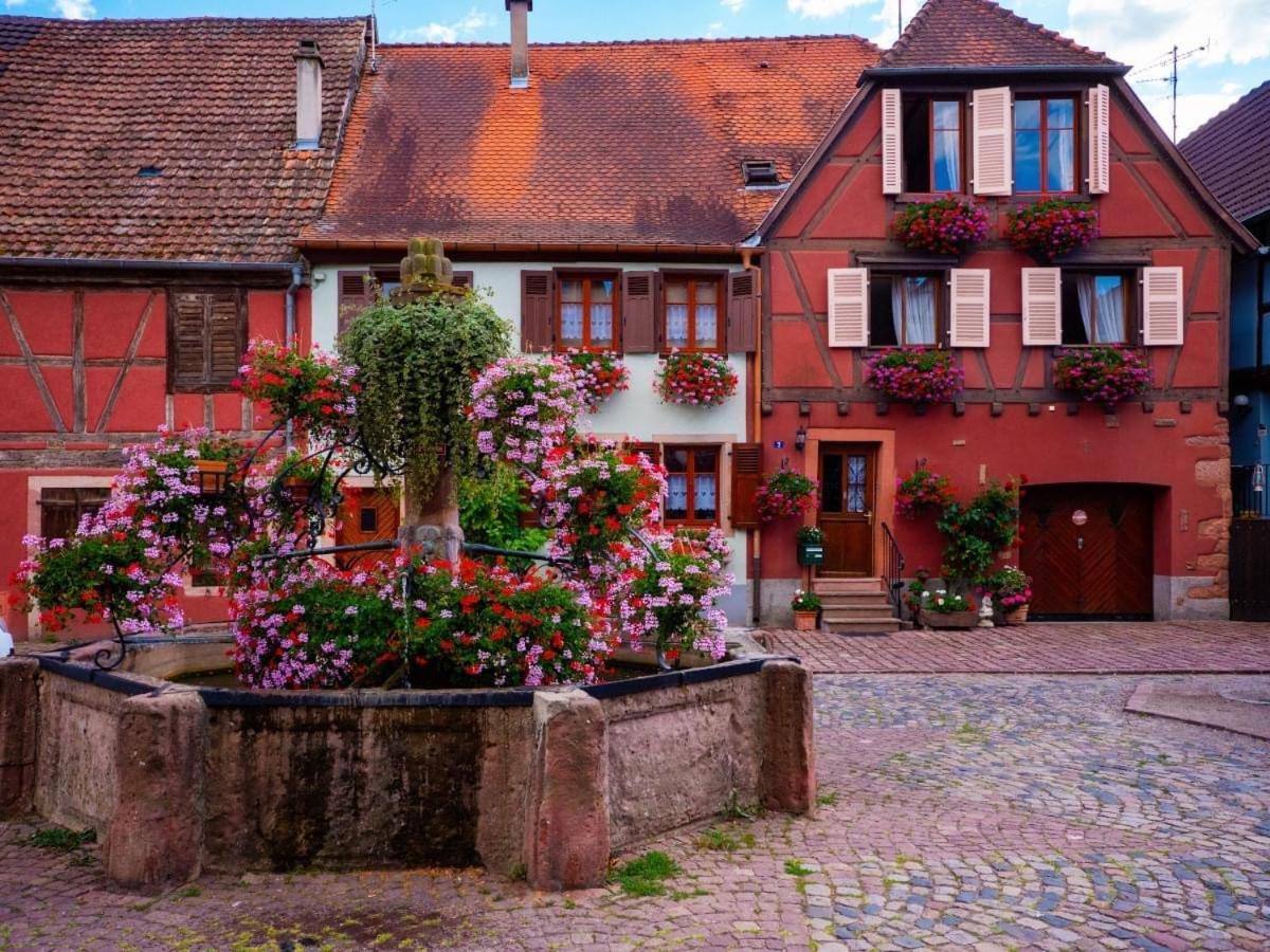 Gite Les Lavandieres Colmar Exterior foto