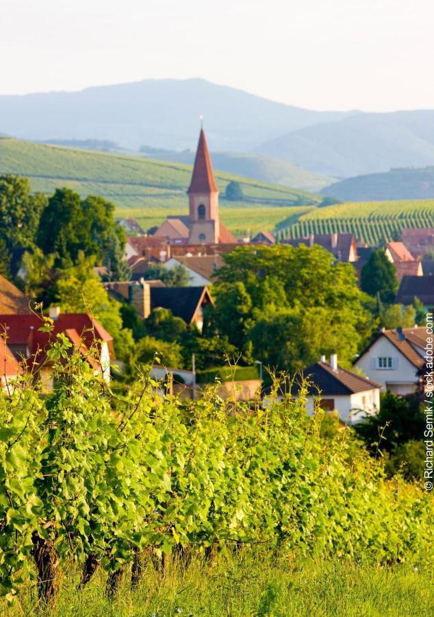 Gite Les Lavandieres Colmar Exterior foto