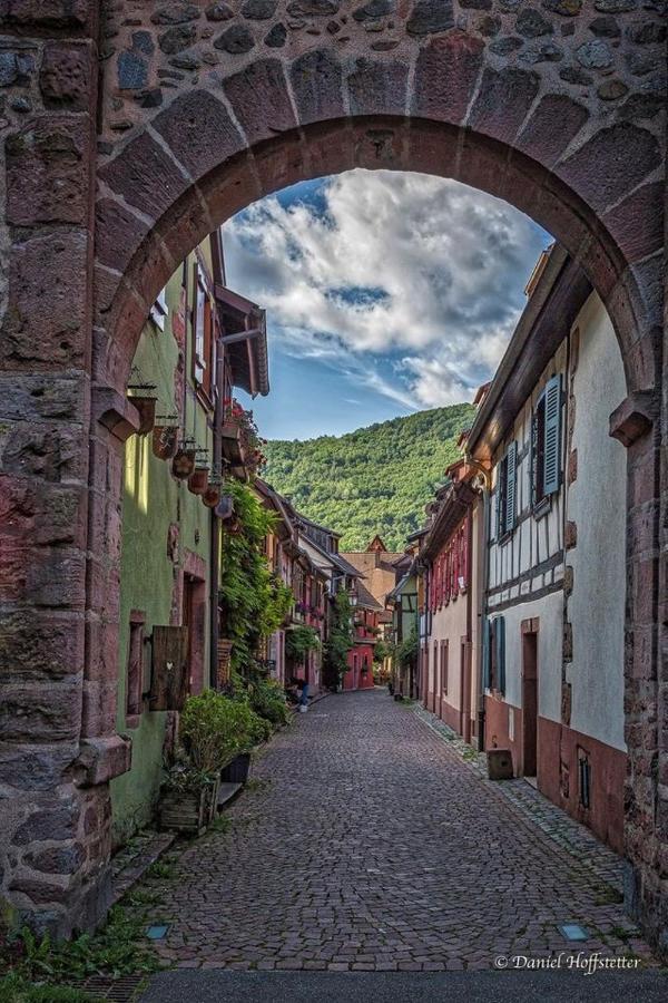 Gite Les Lavandieres Colmar Exterior foto